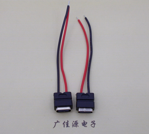 江门type c2p防水母座焊线式带线注塑成型带接线端子/不带接线端子充电连接器